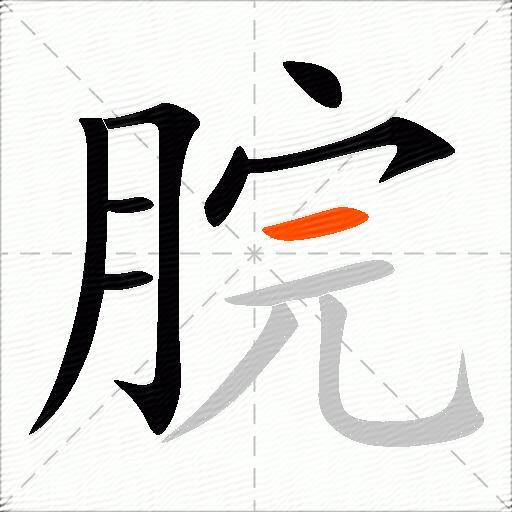 脘