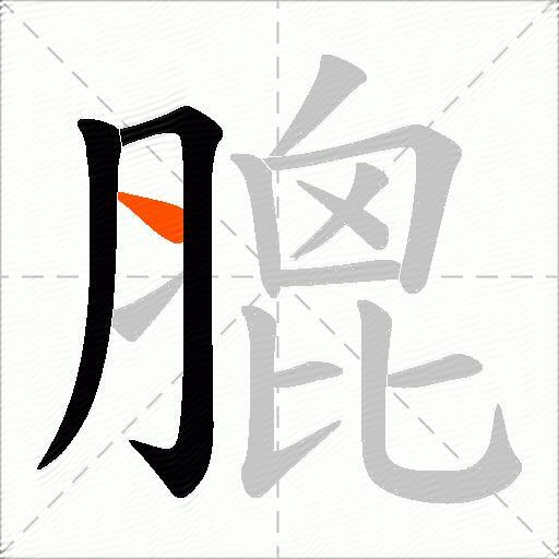 膍
