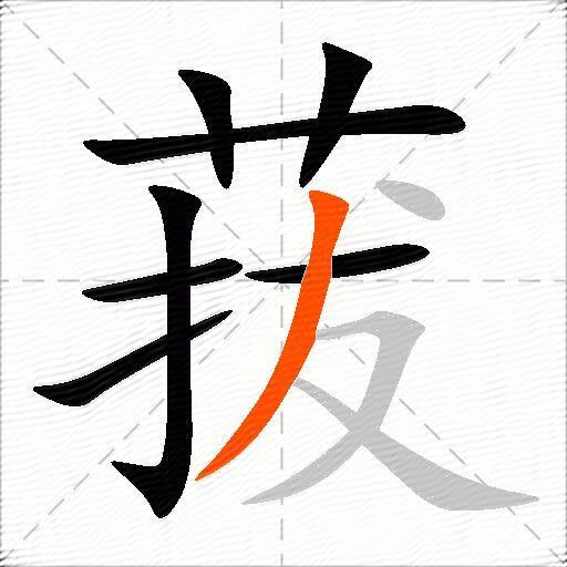 菝