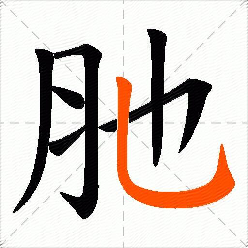 肔