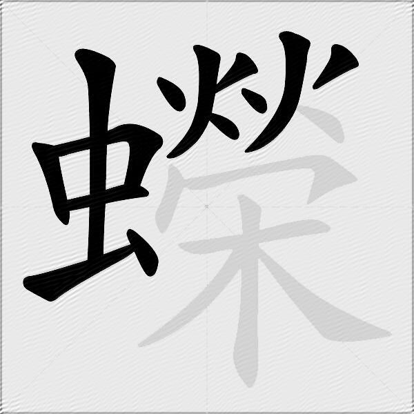 蠑