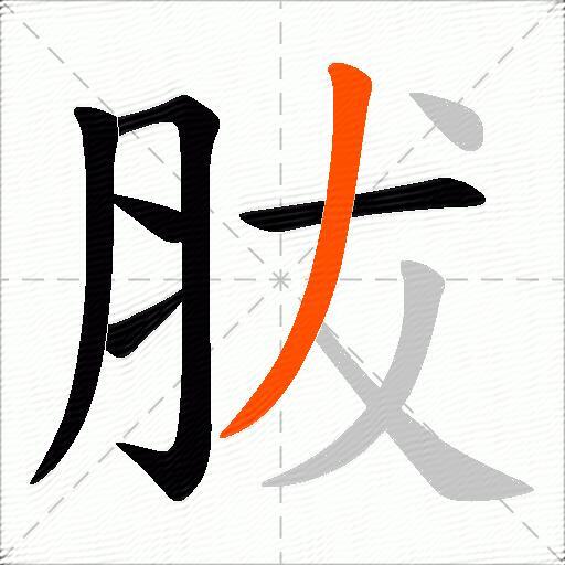 胈