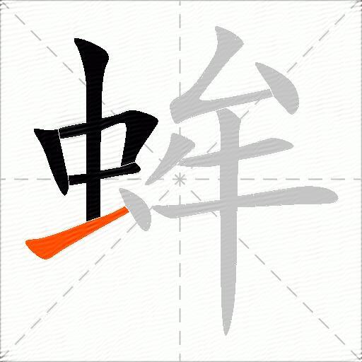 蛑