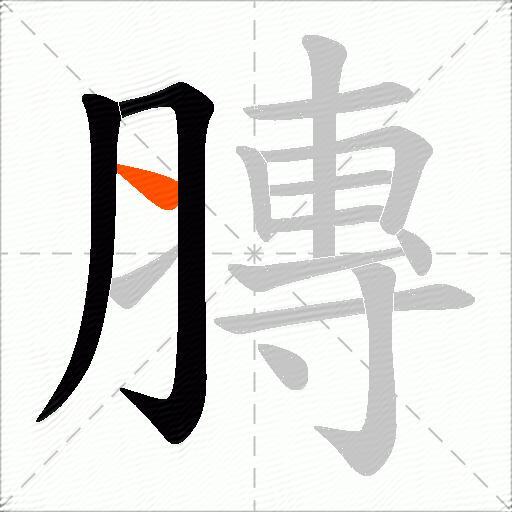 膞