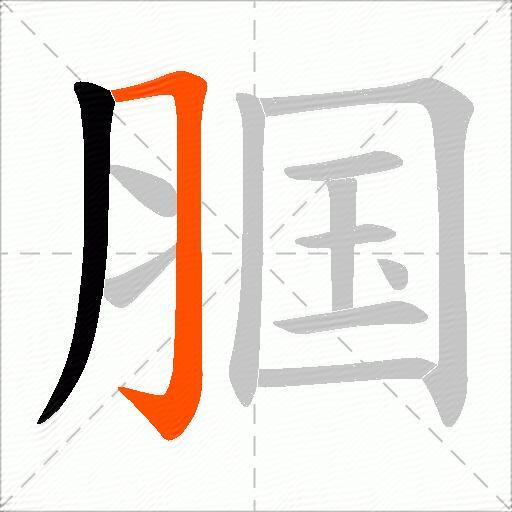 腘