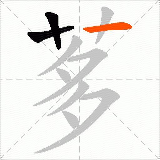 茤