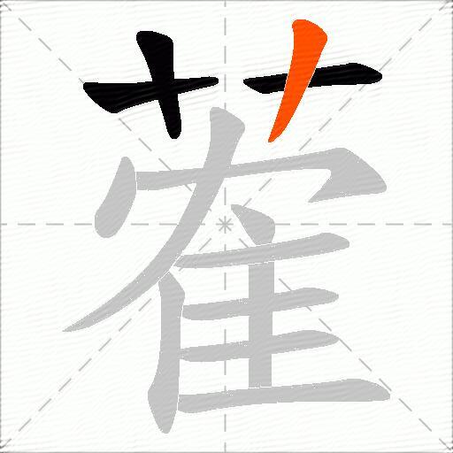 蒮