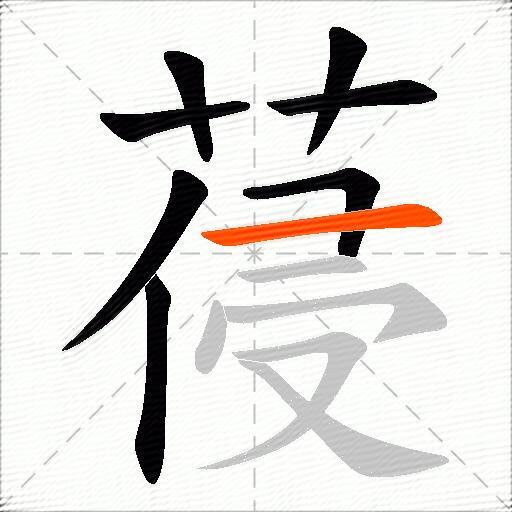 葠