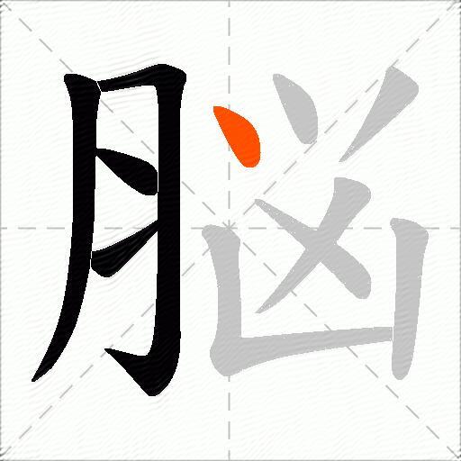 脳