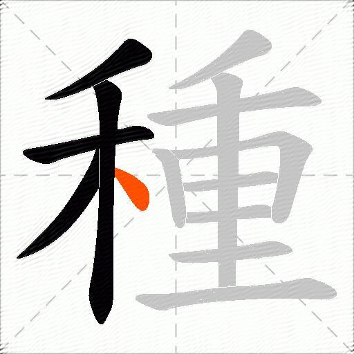 種