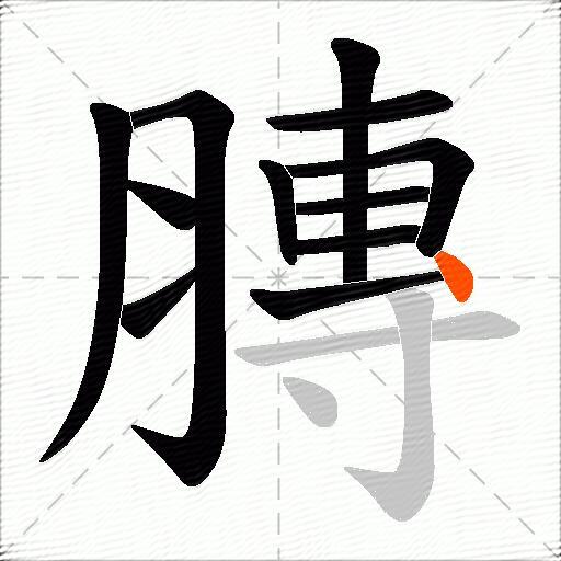 膞