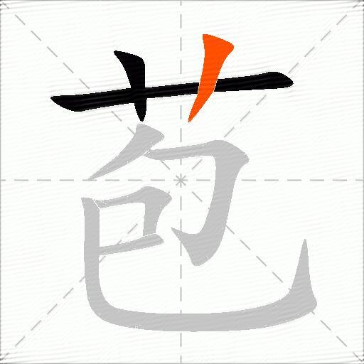 苞