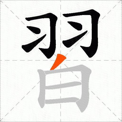習