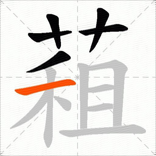 蒩