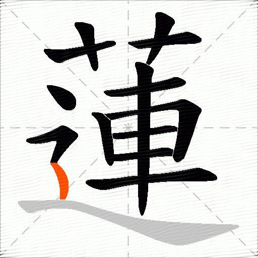 蓮