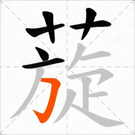 蔙