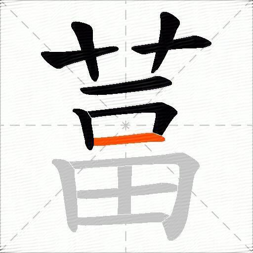 葍