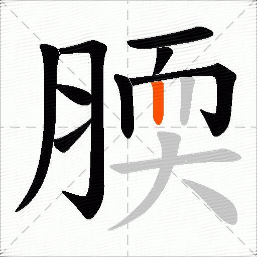 腝