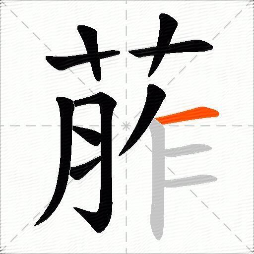 葄