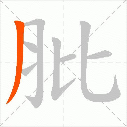 肶