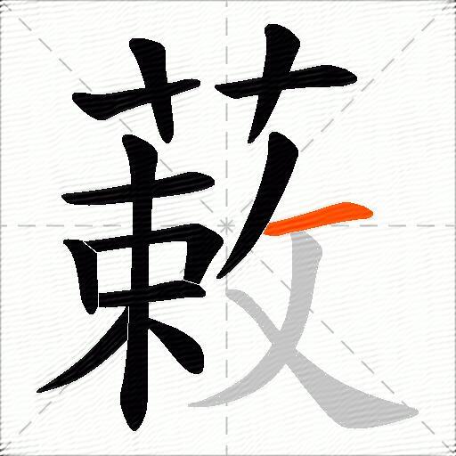蓛