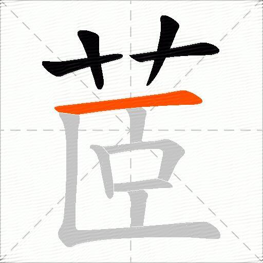 茝