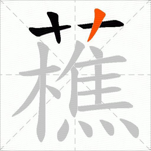 藮