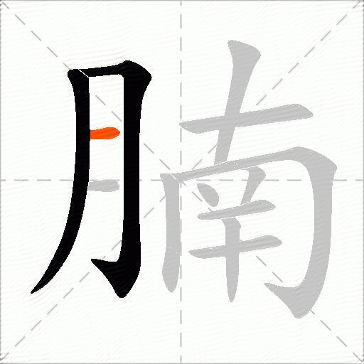 腩