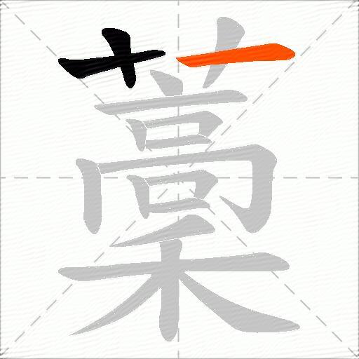 藳