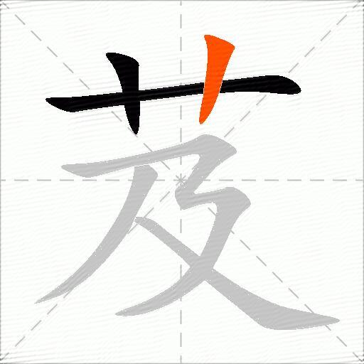 芨