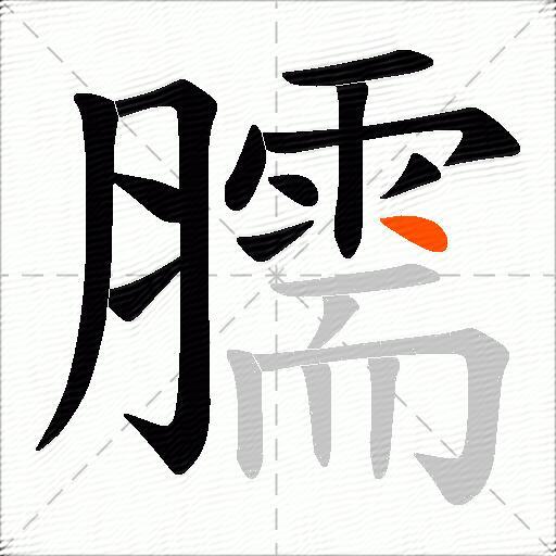 臑