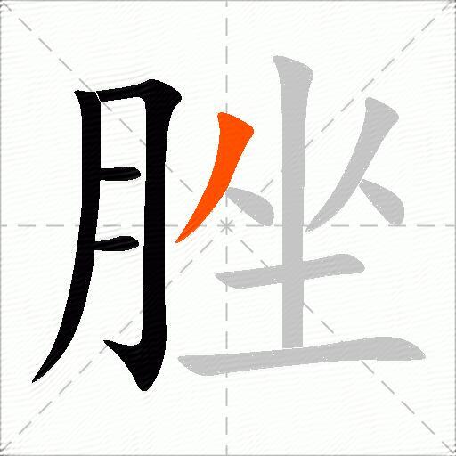 脞