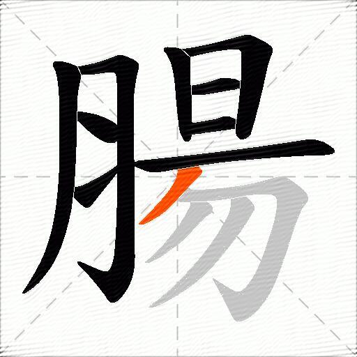 腸