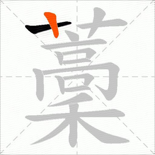 藳