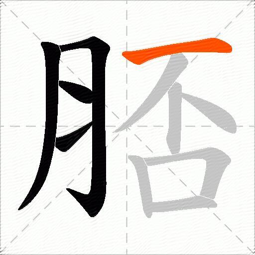脴