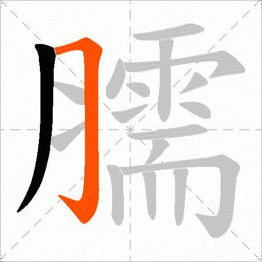 臑