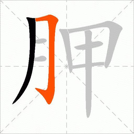 胛