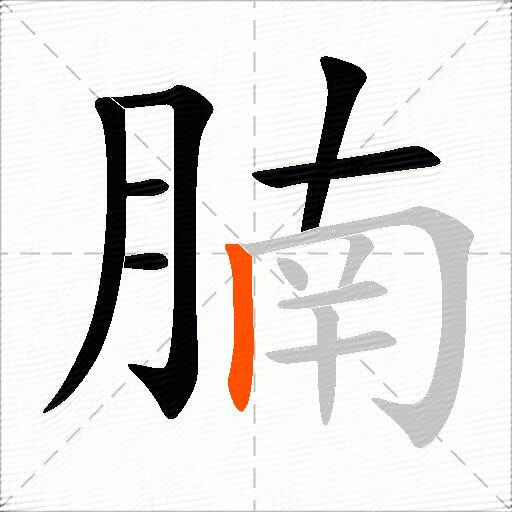 腩
