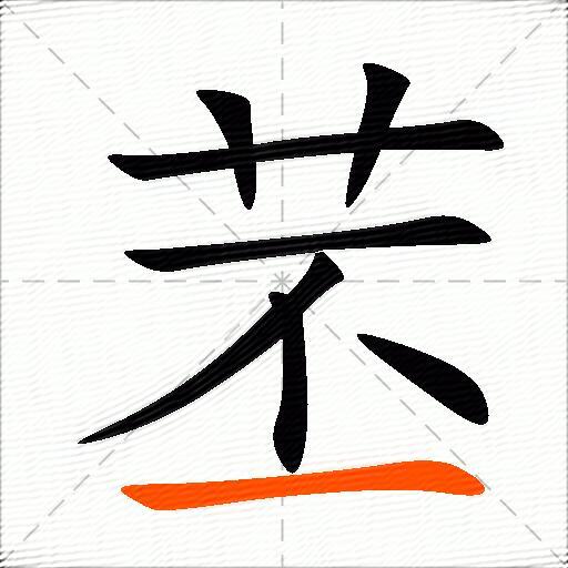 苤