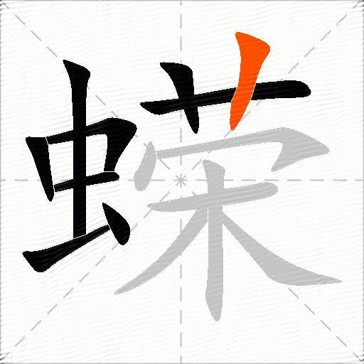 蝾
