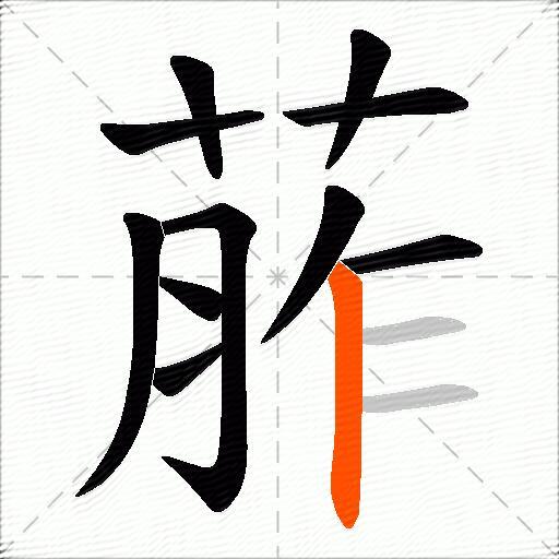 葄