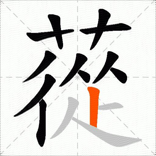 蓯