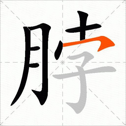 脖