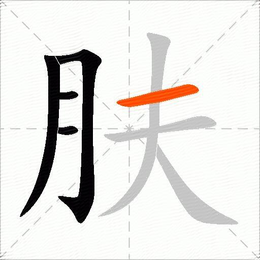 肤