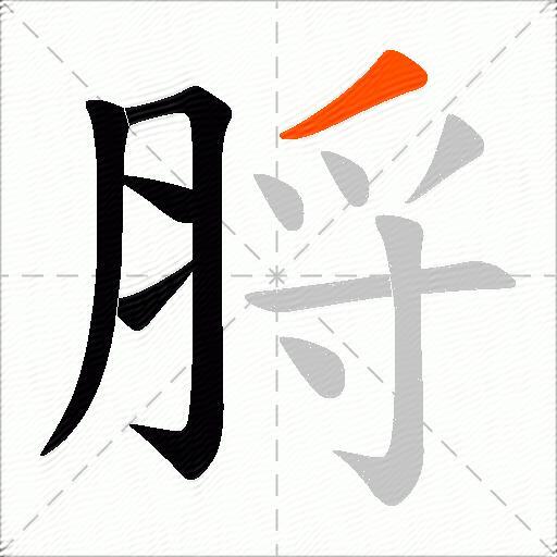 脟