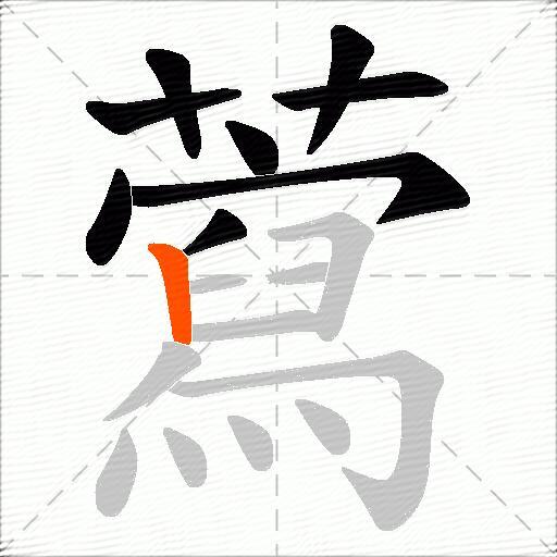 藛