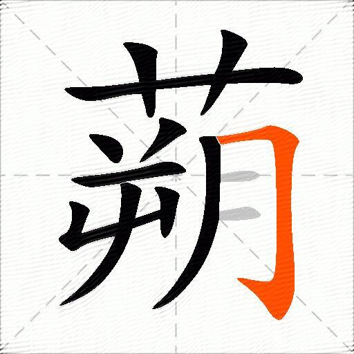 蒴