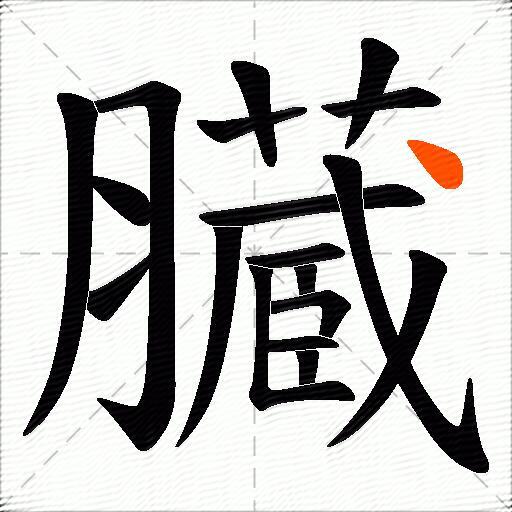 臓