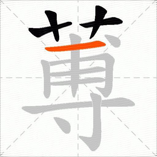 蒪