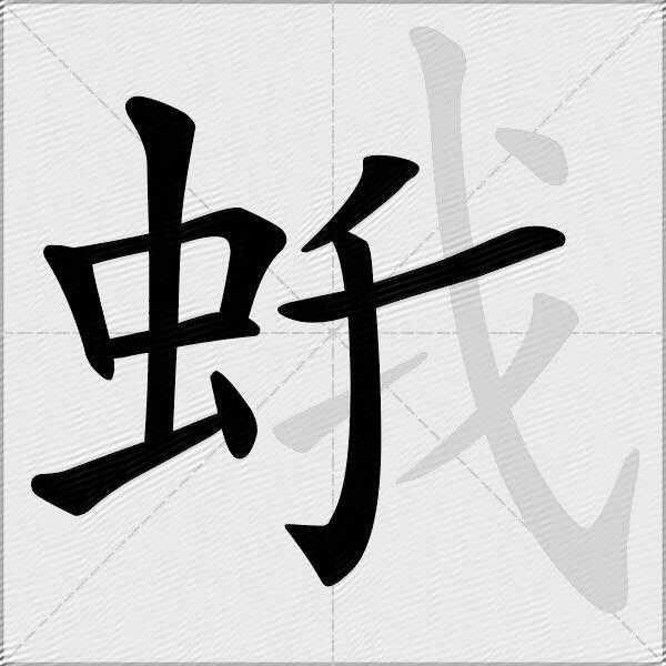蛾